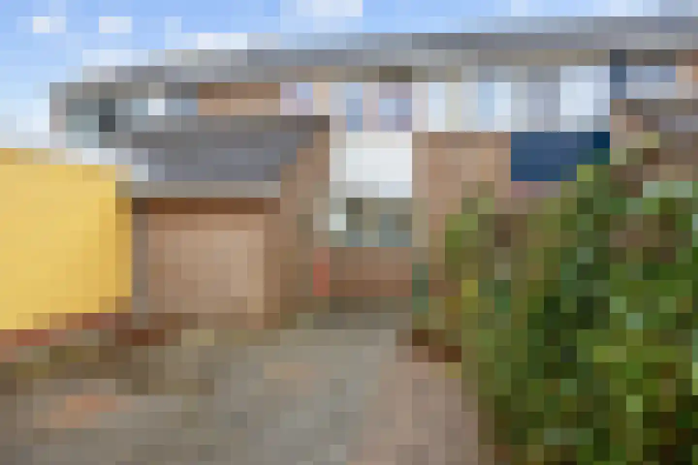 Fazant 9 in Grijpskerk