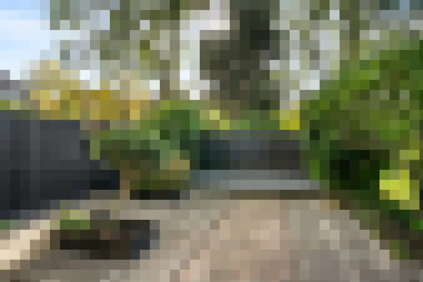 Fazant 9 Barendrecht thumbnail 29