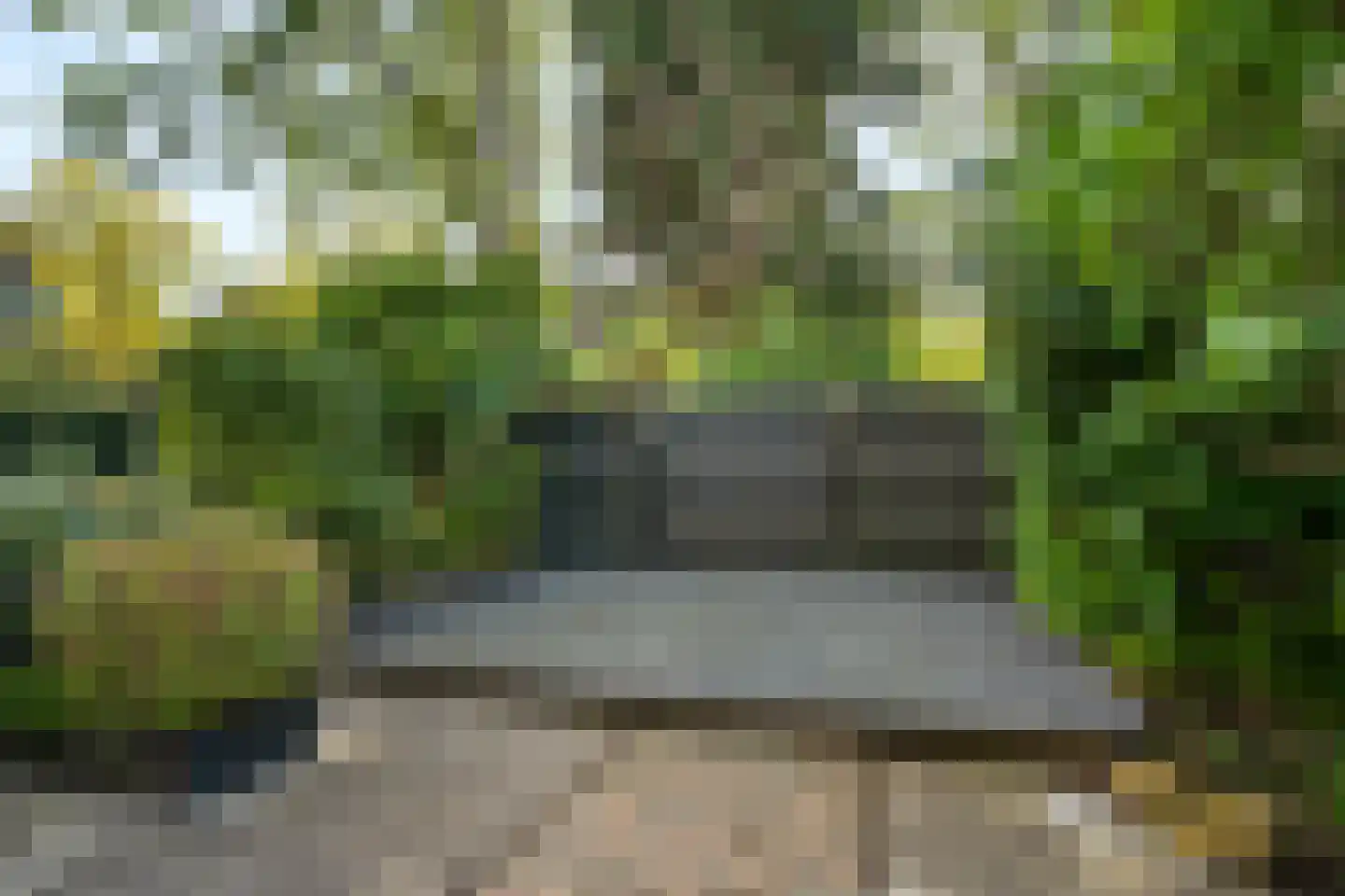 Fazant 9 Barendrecht thumbnail 30