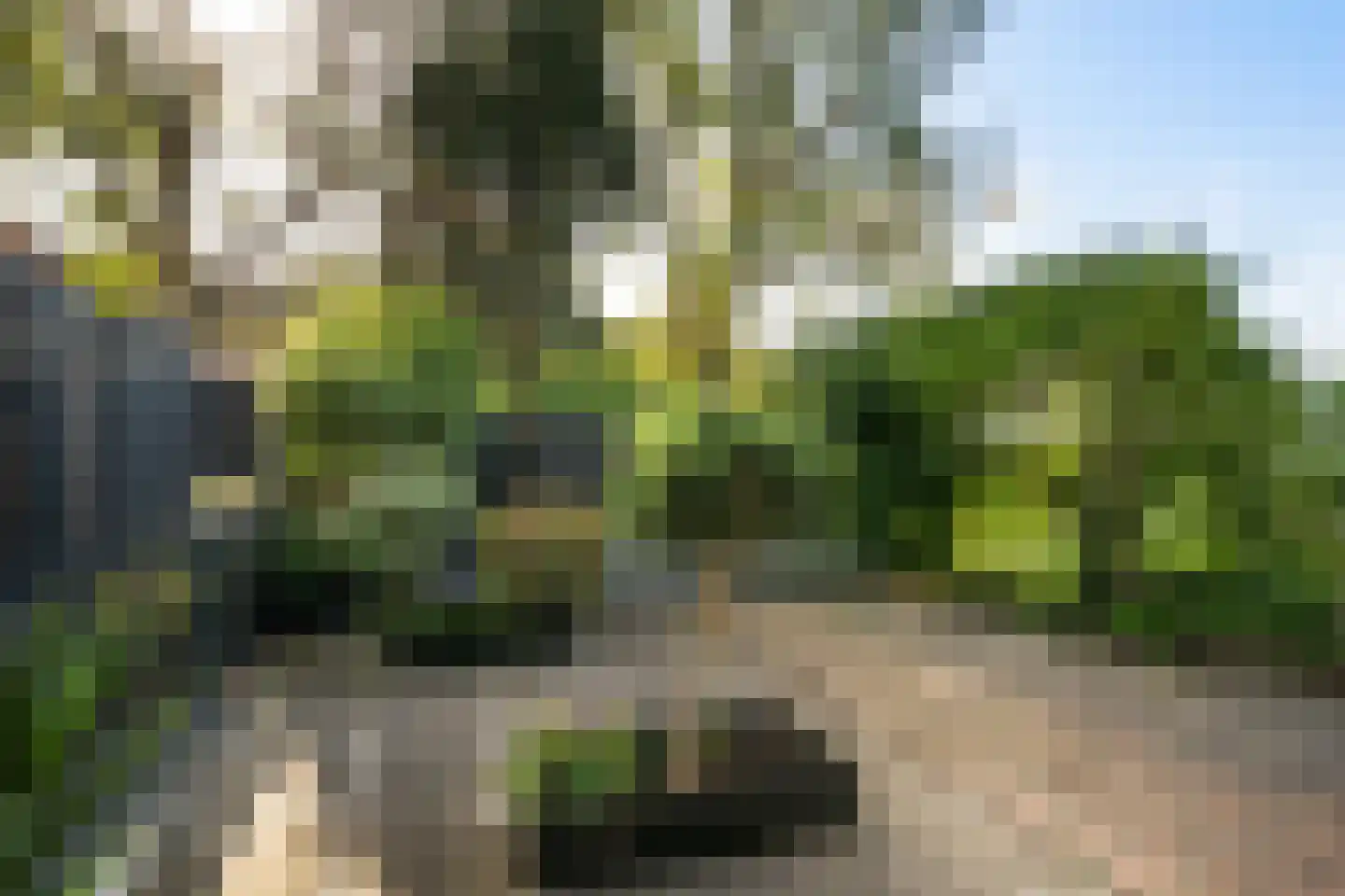 Fazant 9 Barendrecht thumbnail 4