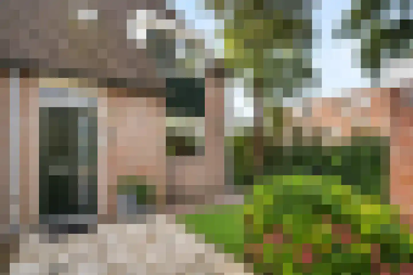 Fazant 9 Barendrecht thumbnail 6