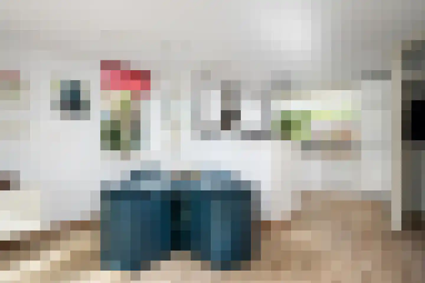 Fazant 9 Barendrecht thumbnail 9
