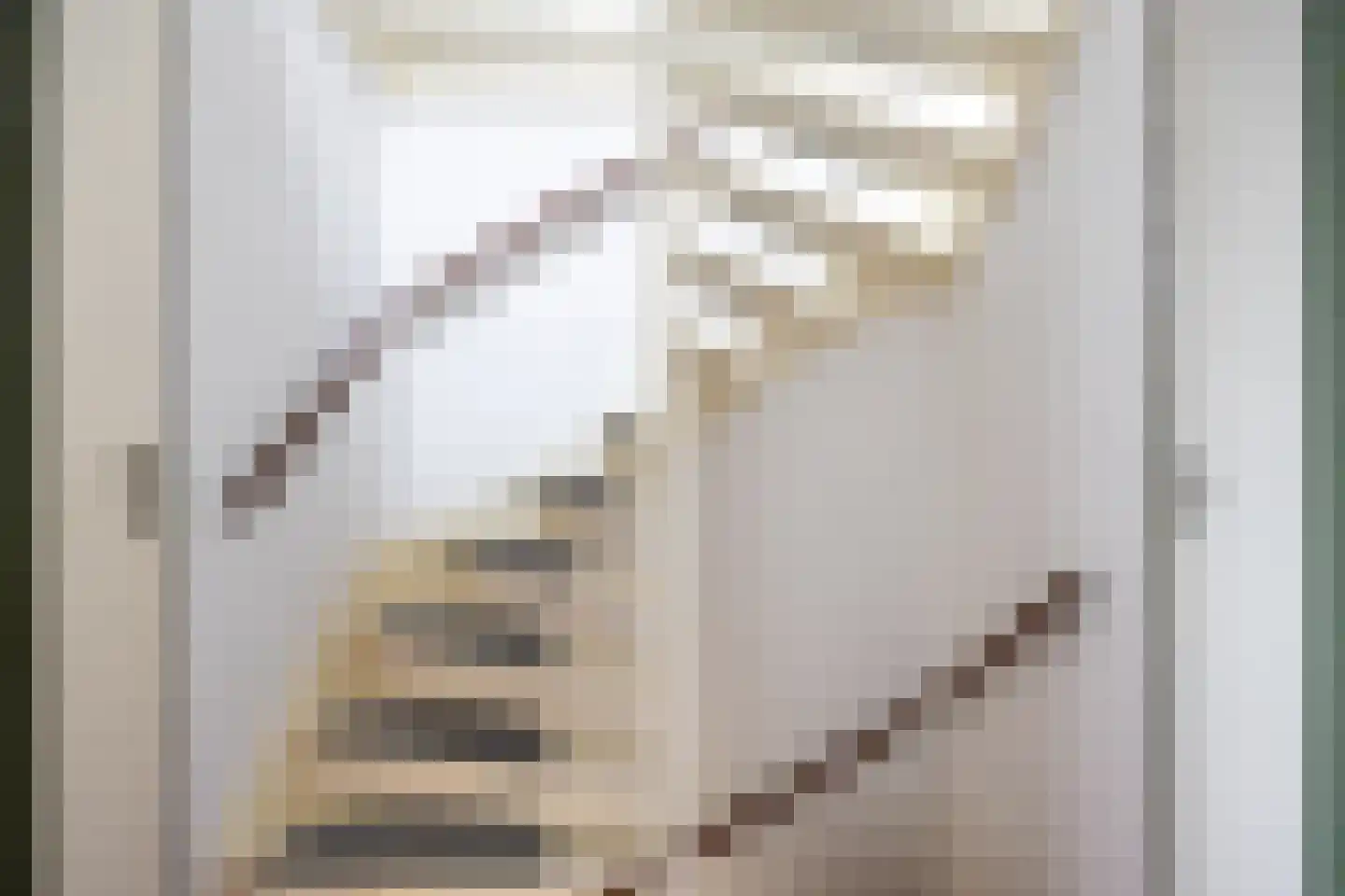 Fazant 9 Grijpskerk thumbnail 24