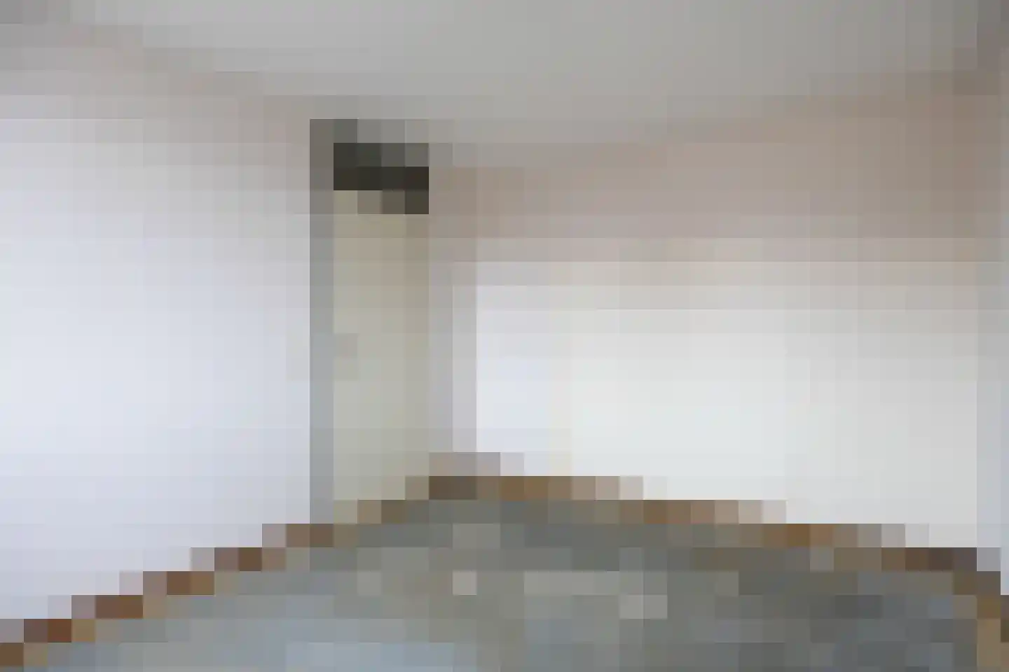 Fazant 9 Grijpskerk thumbnail 31