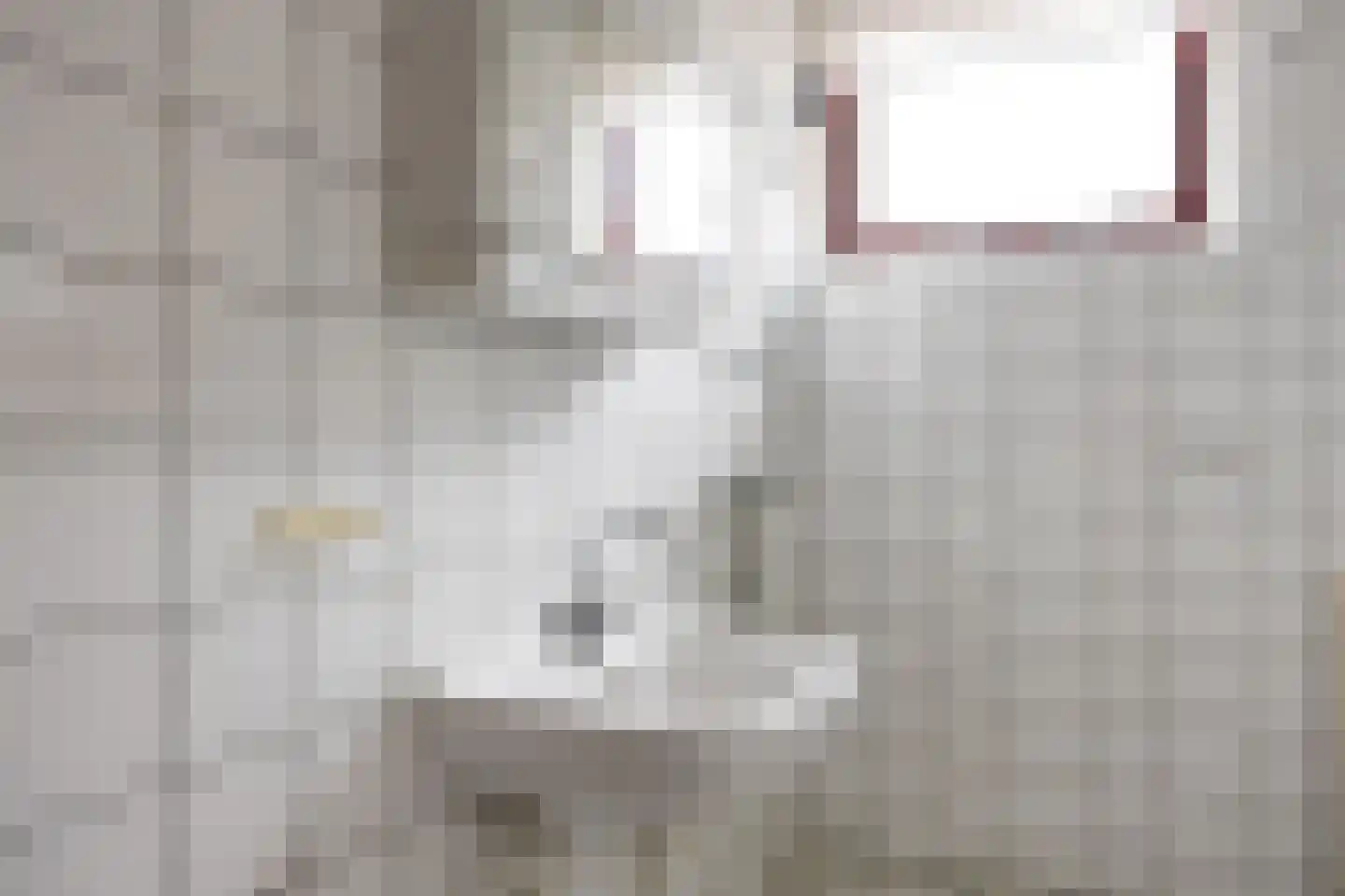 Fazant 9 Grijpskerk thumbnail 32