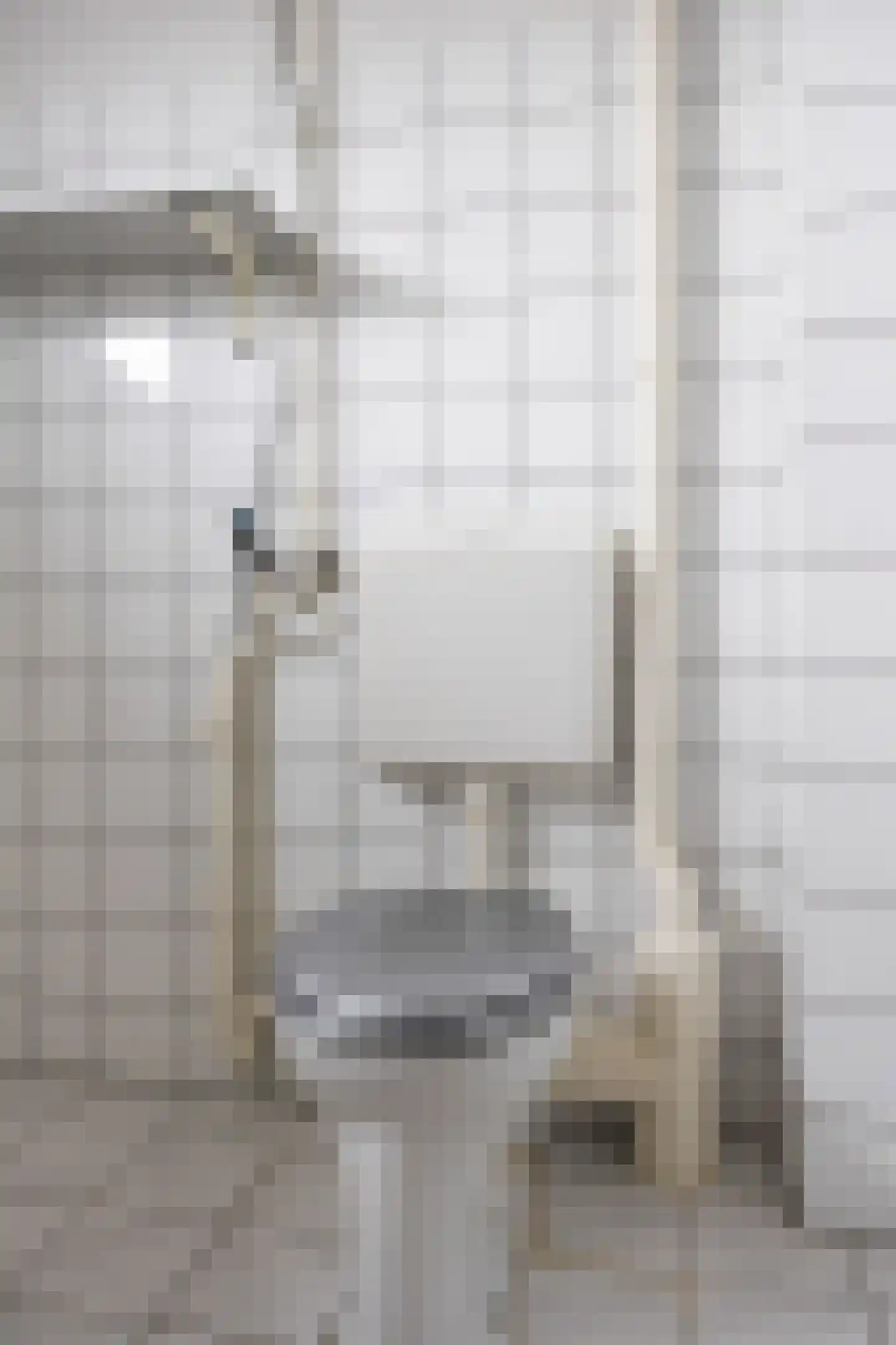 Fazant 9 Grijpskerk thumbnail 35