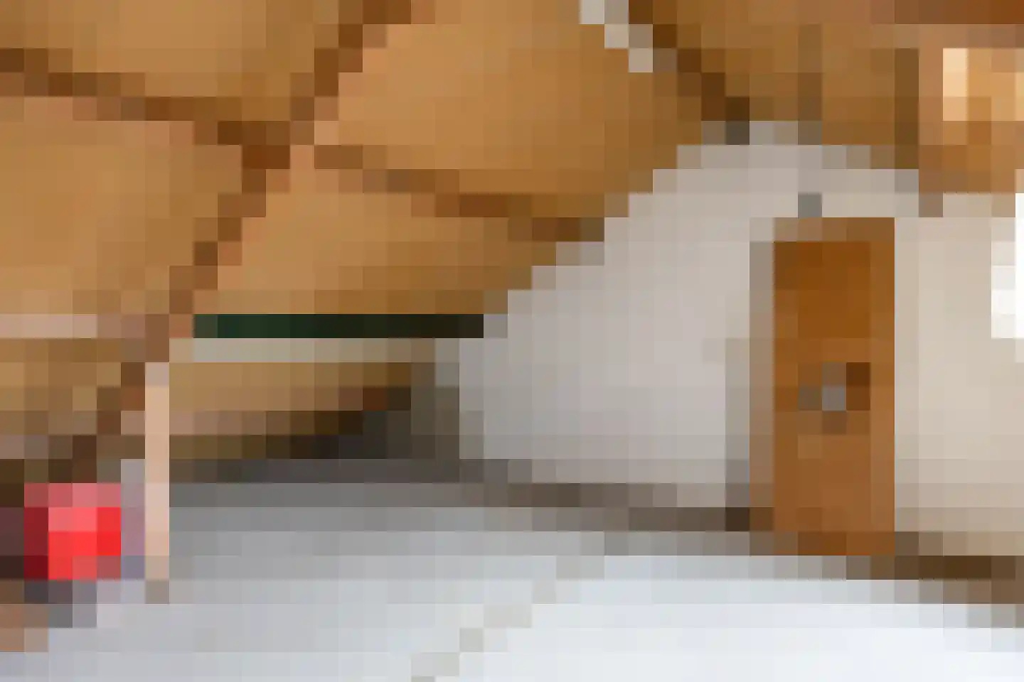 Fazant 9 Grijpskerk thumbnail 37