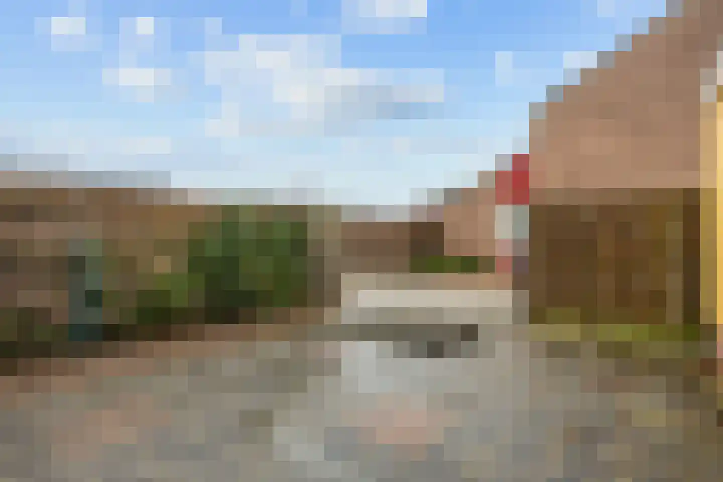 Fazant 9 Grijpskerk thumbnail 38