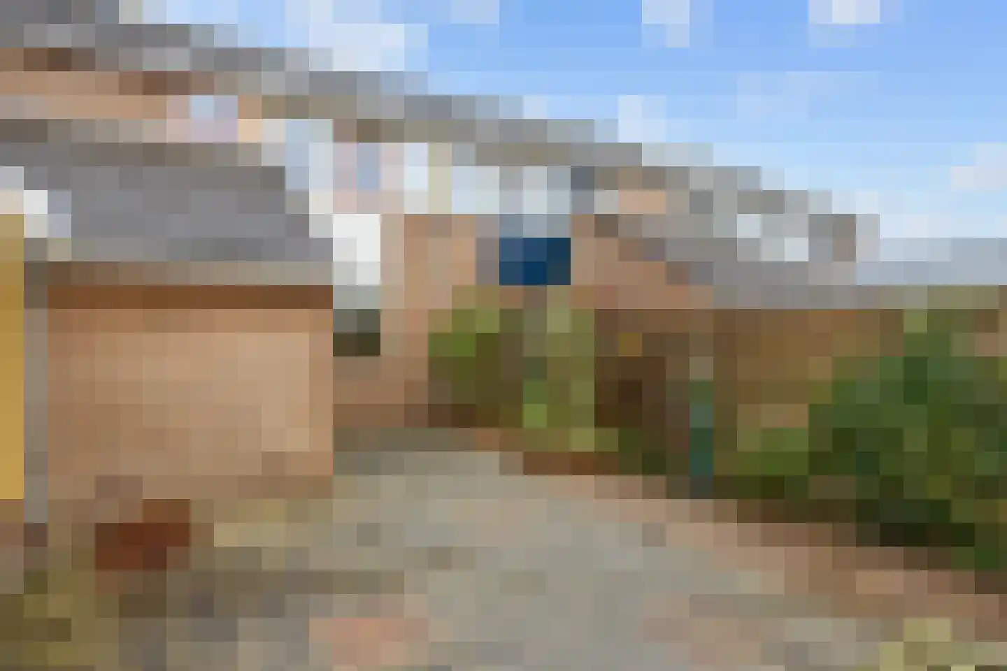 Fazant 9 Grijpskerk thumbnail 39
