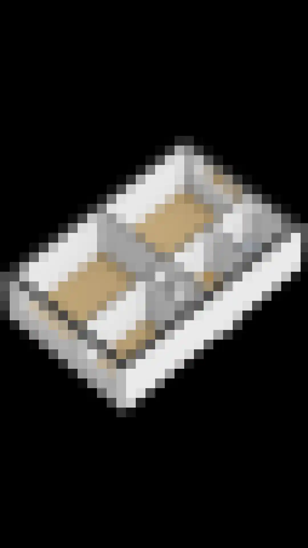 Fazant 9 Grijpskerk thumbnail 44