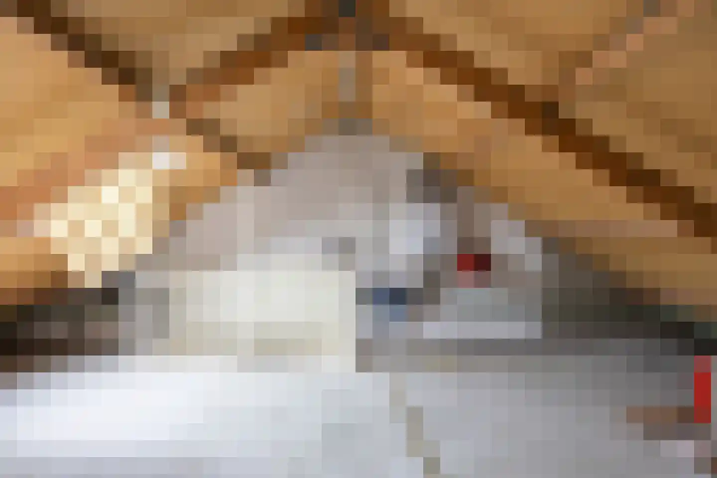 Fazant 9 Grijpskerk thumbnail 5