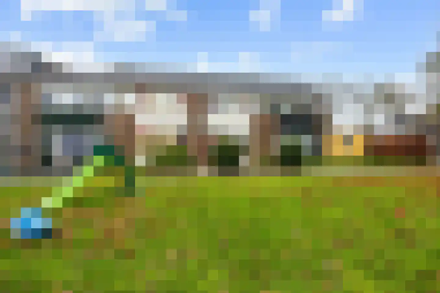 Fazant 9 Grijpskerk thumbnail 6