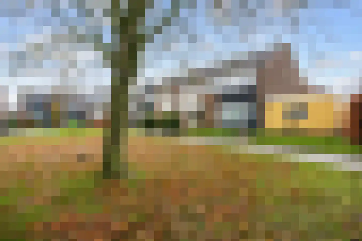 Fazant 9 Grijpskerk thumbnail 7