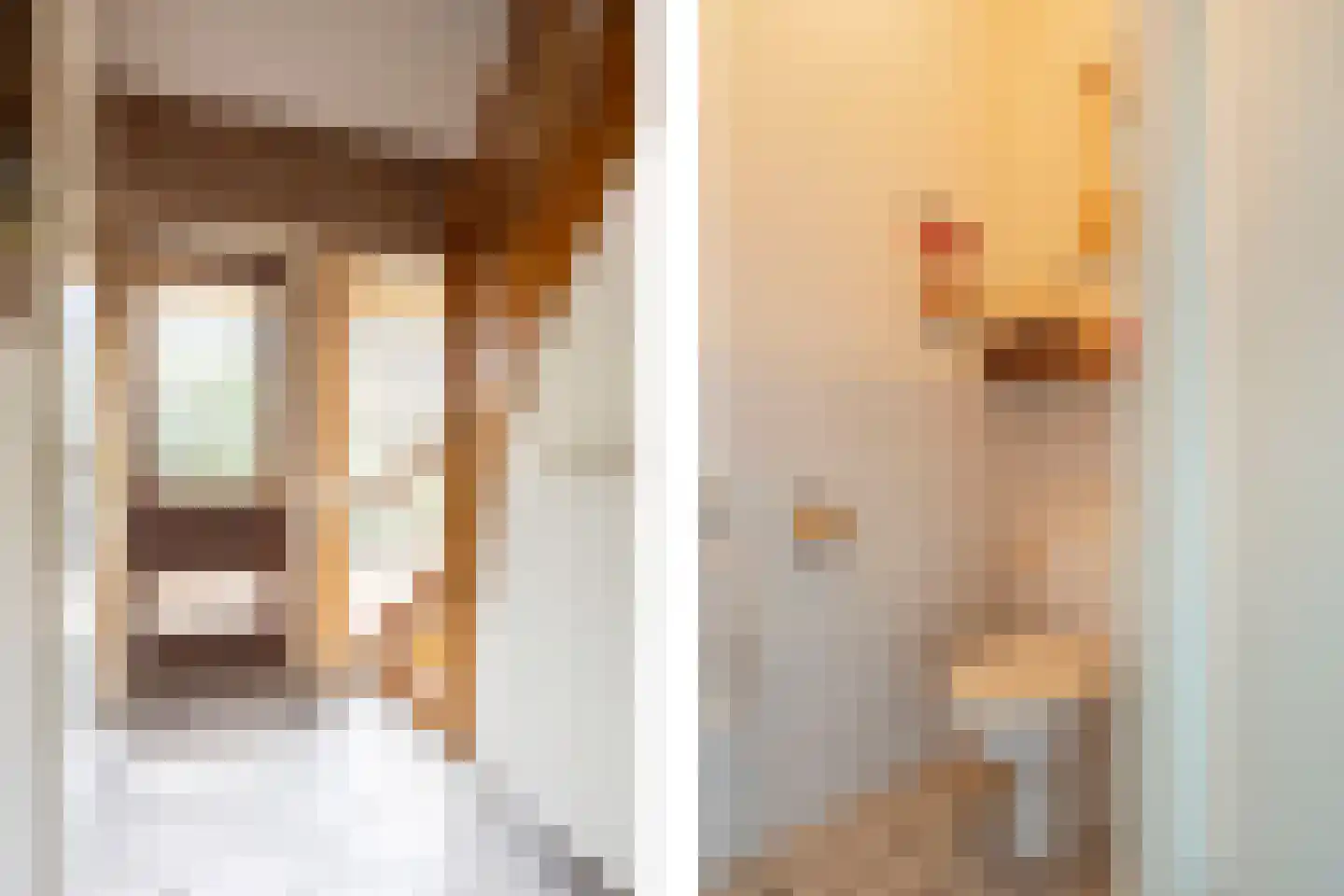 Fazant 9 Raalte thumbnail 10