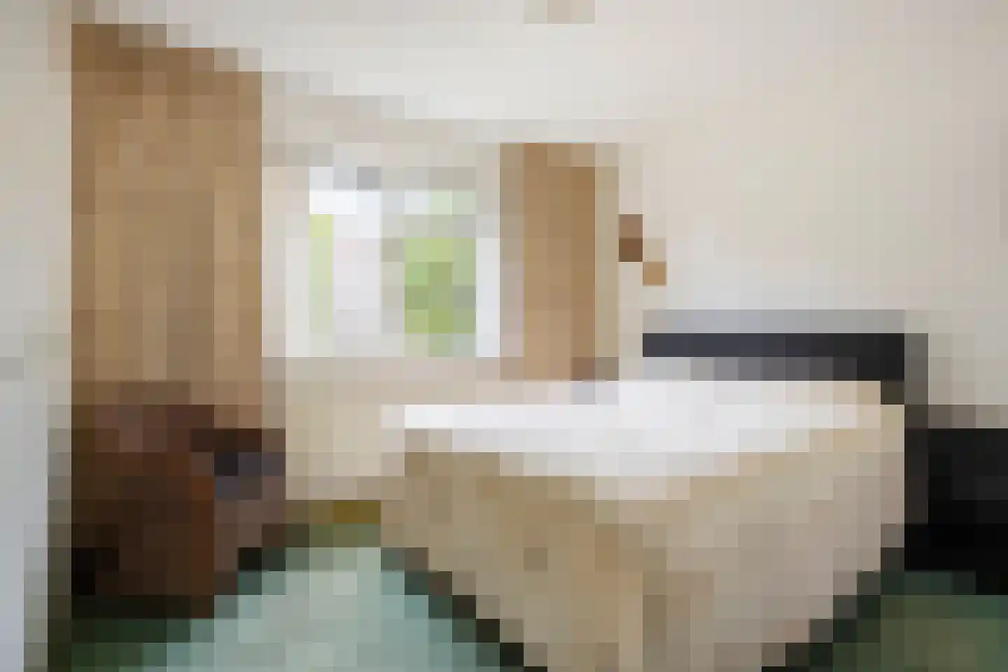 Fazant 9 Raalte thumbnail 12