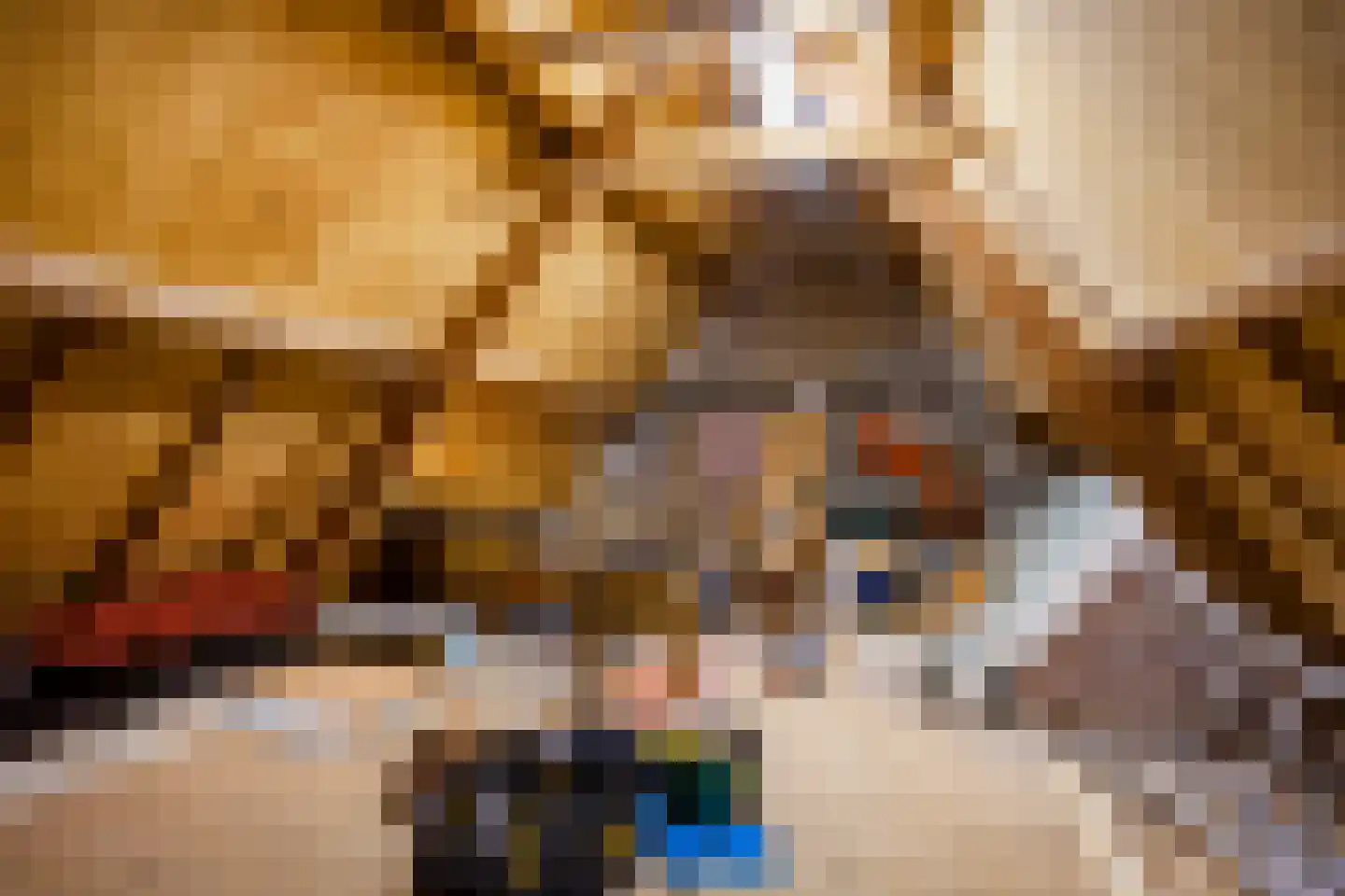 Fazant 9 Raalte thumbnail 21