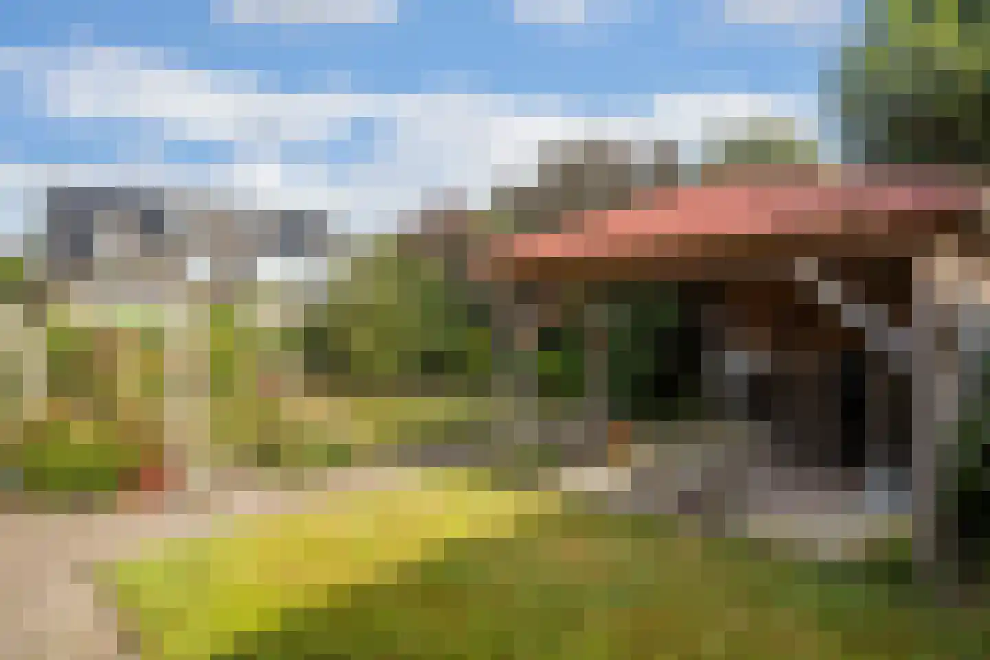 Fazant 9 Raalte thumbnail 22
