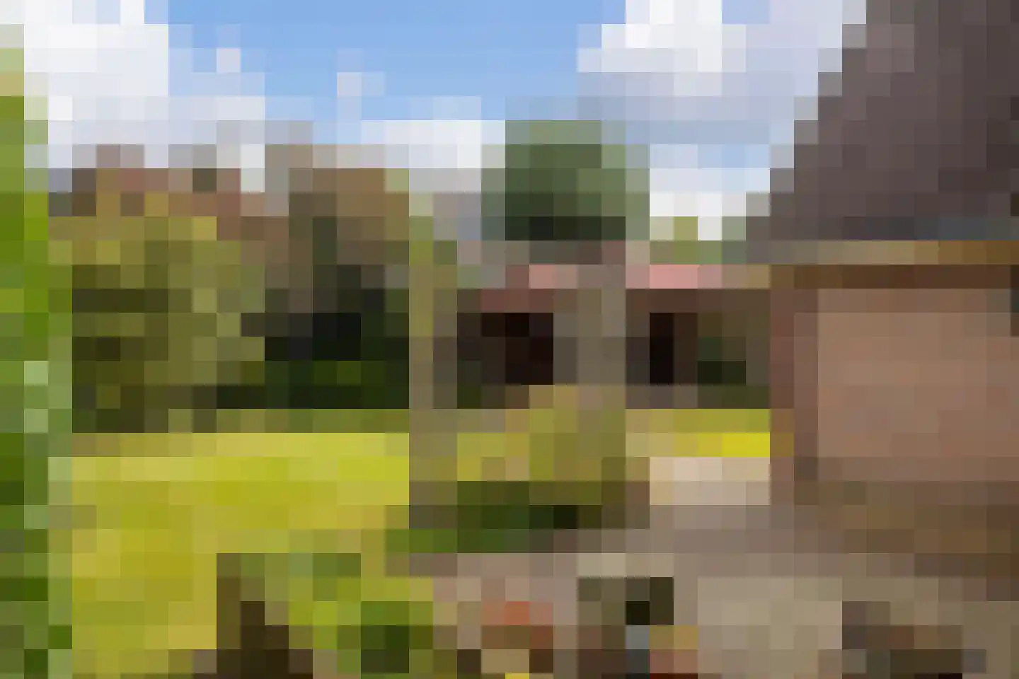 Fazant 9 Raalte thumbnail 23