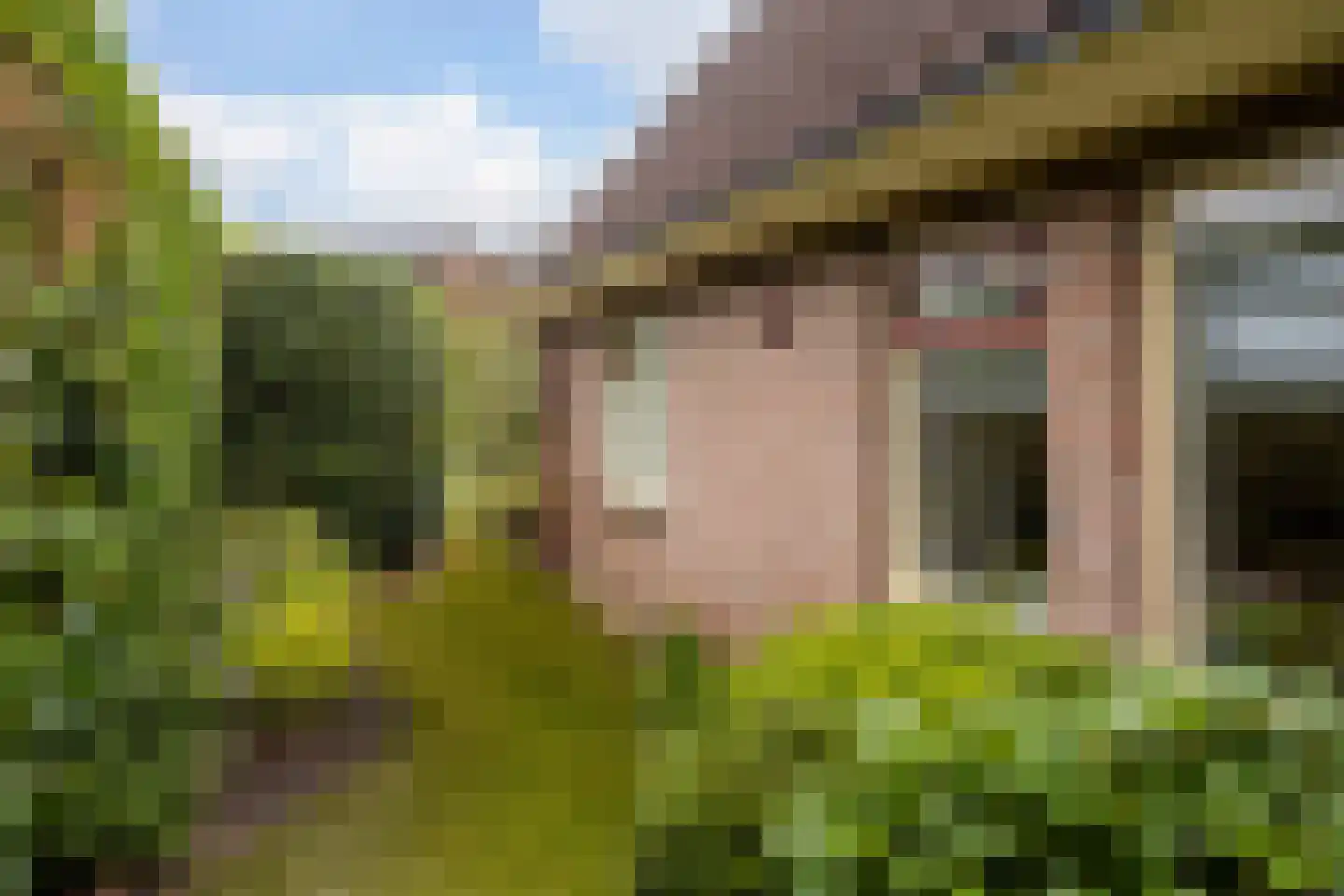 Fazant 9 Raalte thumbnail 25