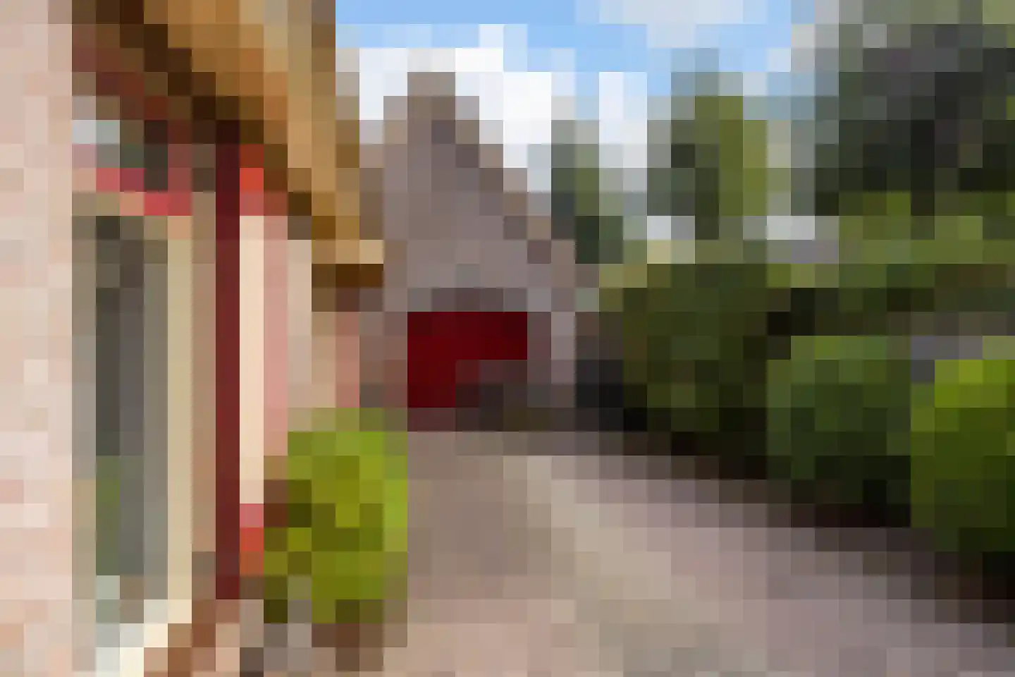 Fazant 9 Raalte thumbnail 26