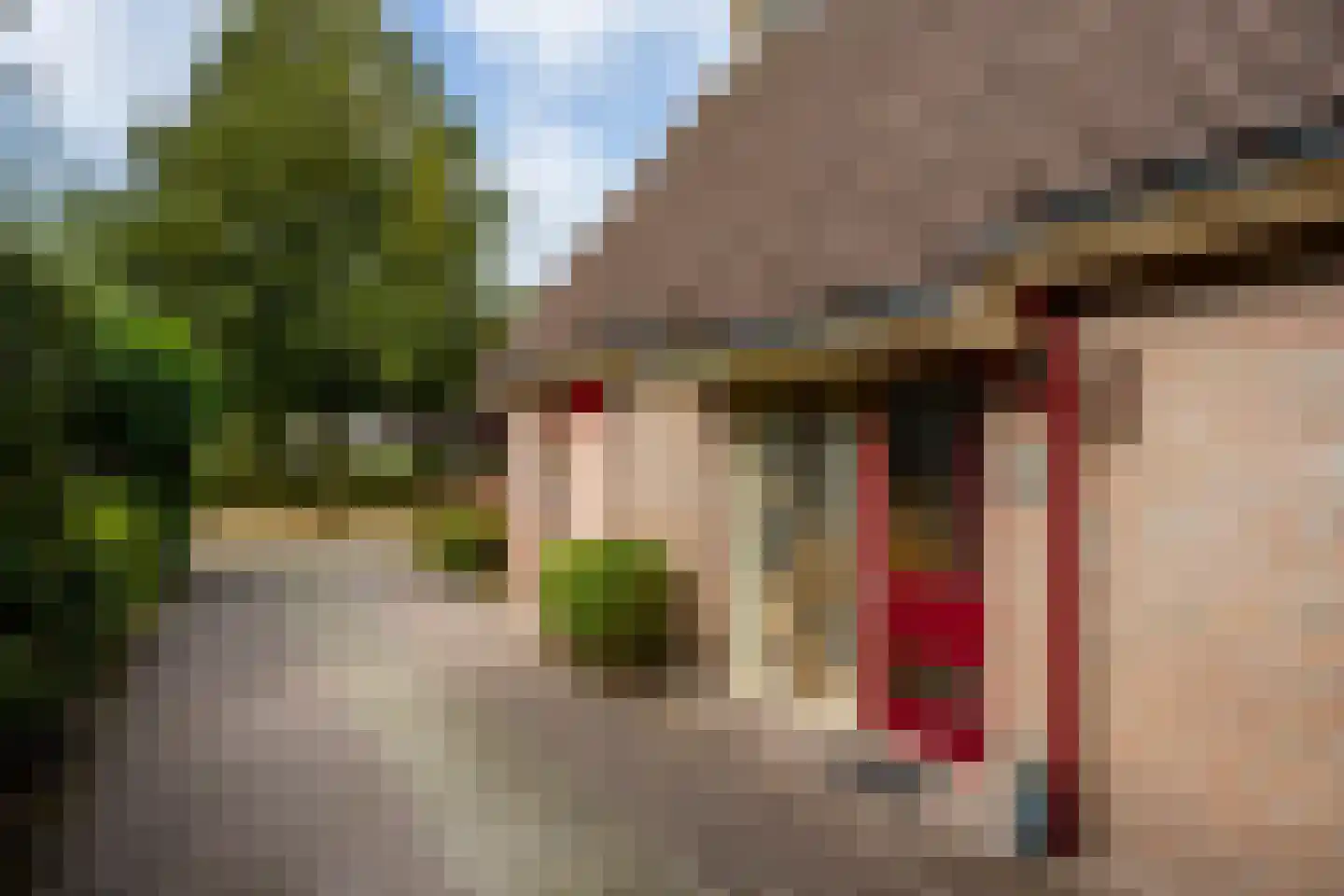 Fazant 9 Raalte thumbnail 27