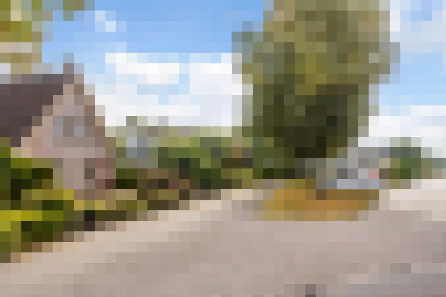 Fazant 9 Raalte thumbnail 29