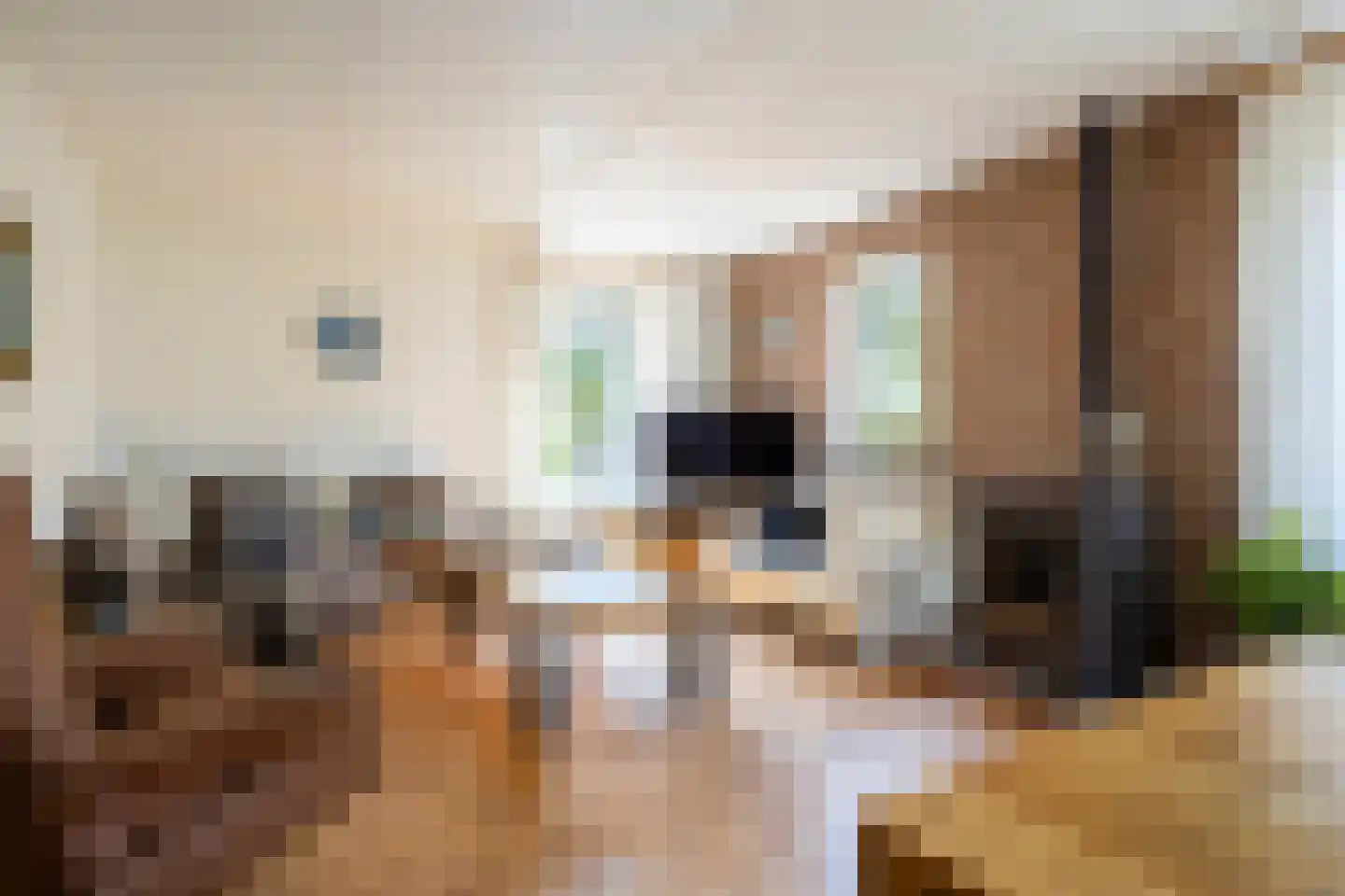 Fazant 9 Raalte foto 3
