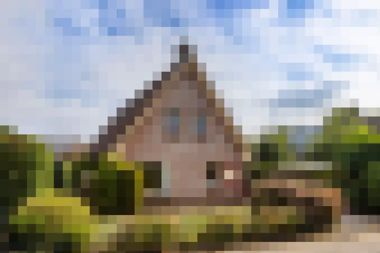 Fazant 9 Raalte thumbnail 31