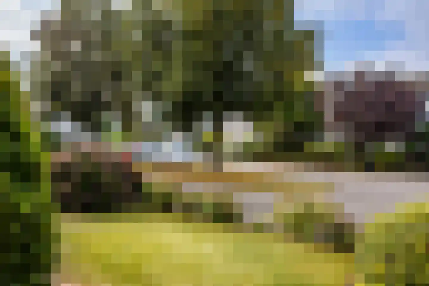 Fazant 9 Raalte thumbnail 32