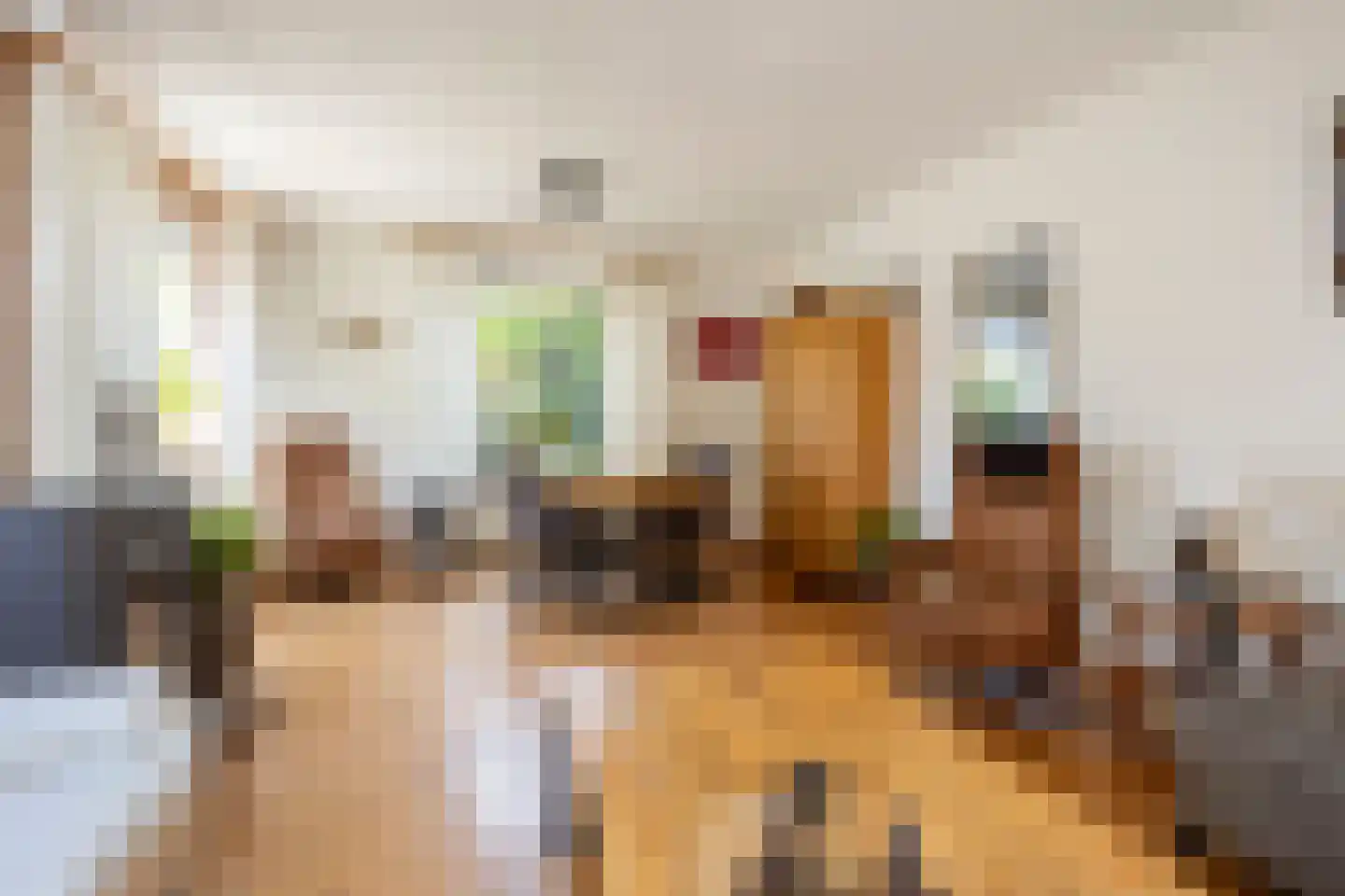 Fazant 9 Raalte thumbnail 4
