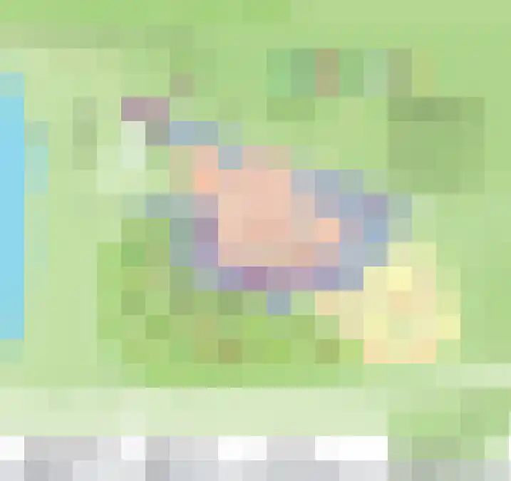 Fazant Sibculo thumbnail 11