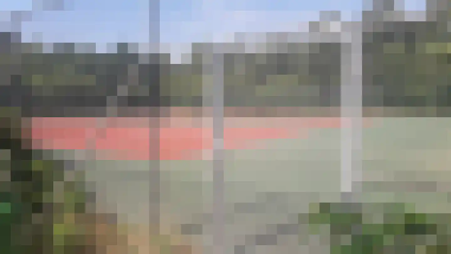 Fazant Sibculo thumbnail 11