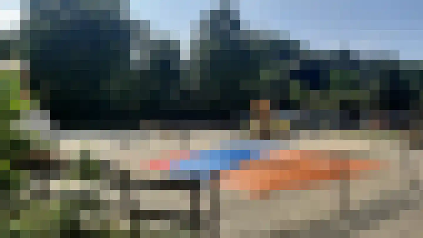 Fazant Sibculo thumbnail 12