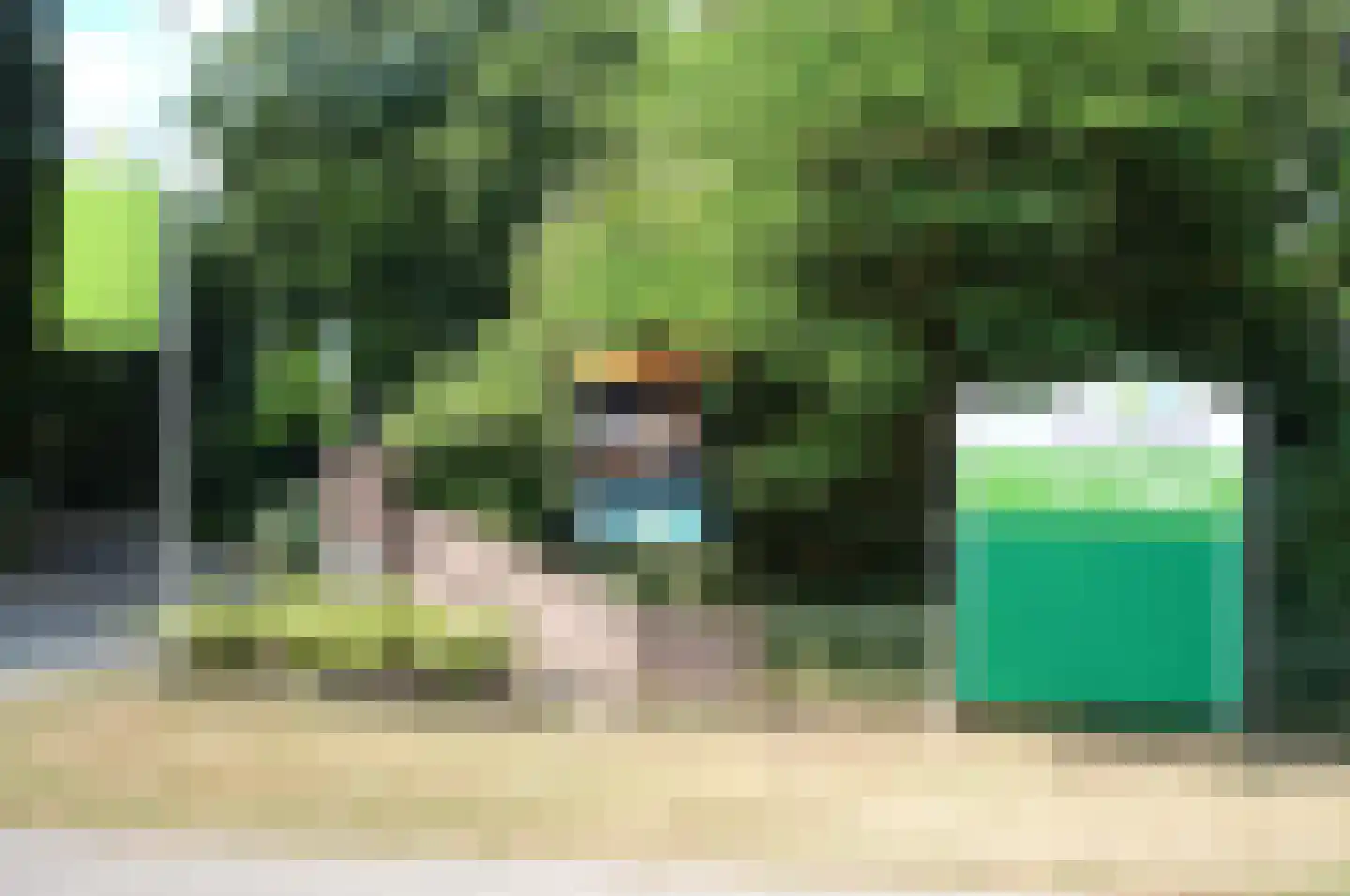 Fazant Sibculo thumbnail 5