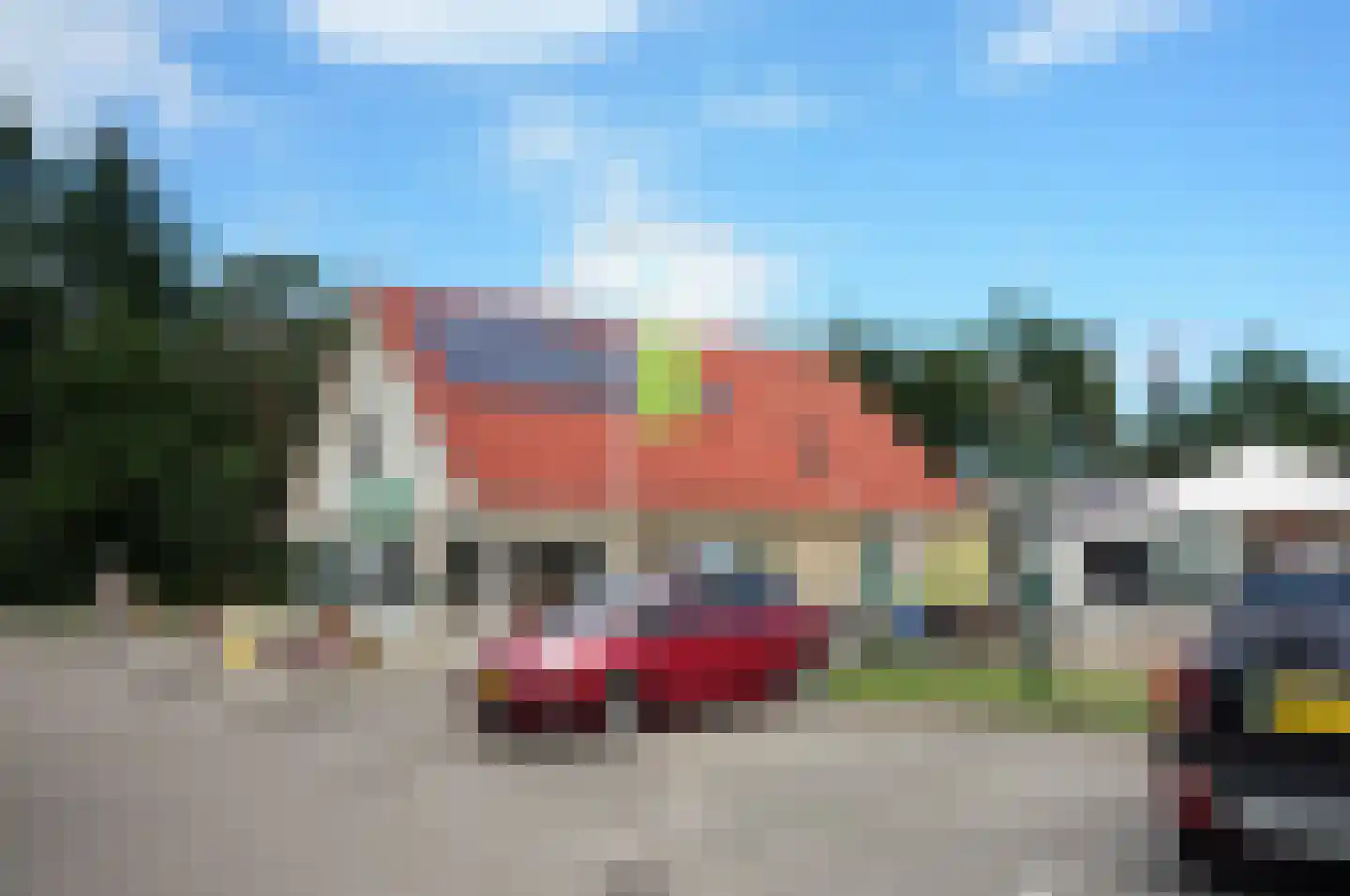 Fazant Sibculo thumbnail 6