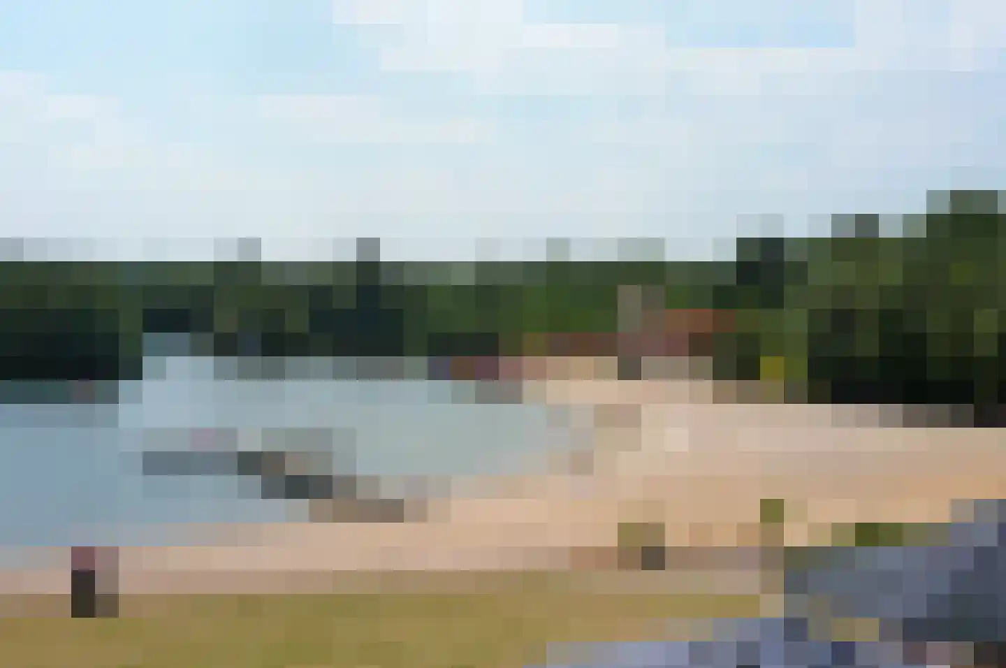 Fazant Sibculo thumbnail 8