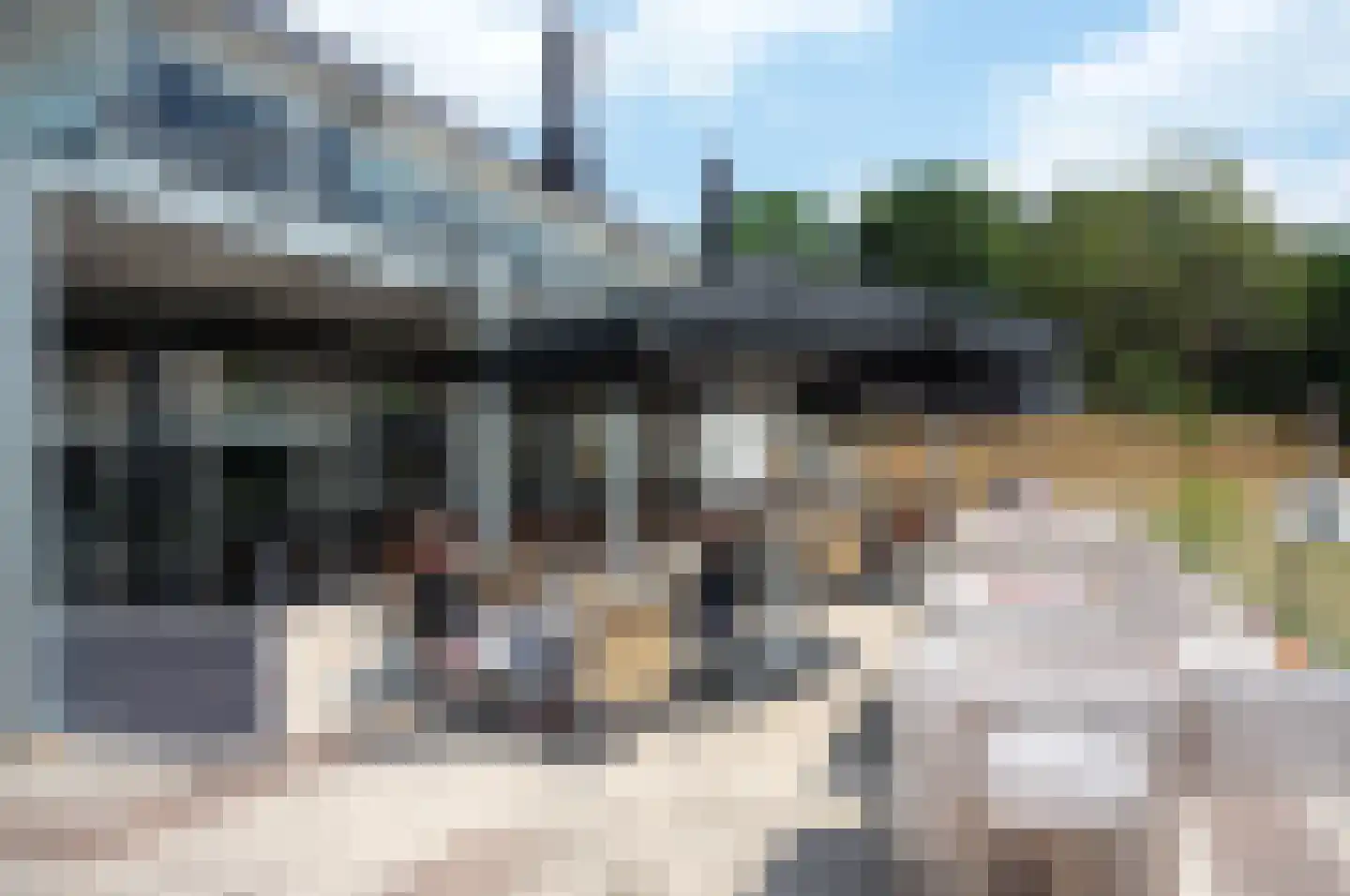 Fazant Sibculo thumbnail 9