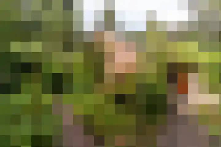 Fazantbos 10 Helvoirt