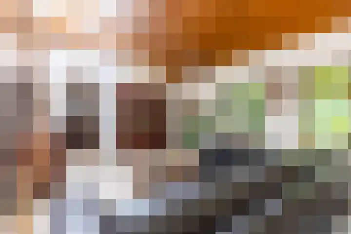 Fazantbos 10 Helvoirt thumbnail 10