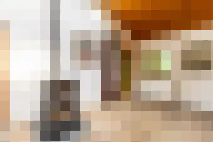 Fazantbos 10 Helvoirt thumbnail 11