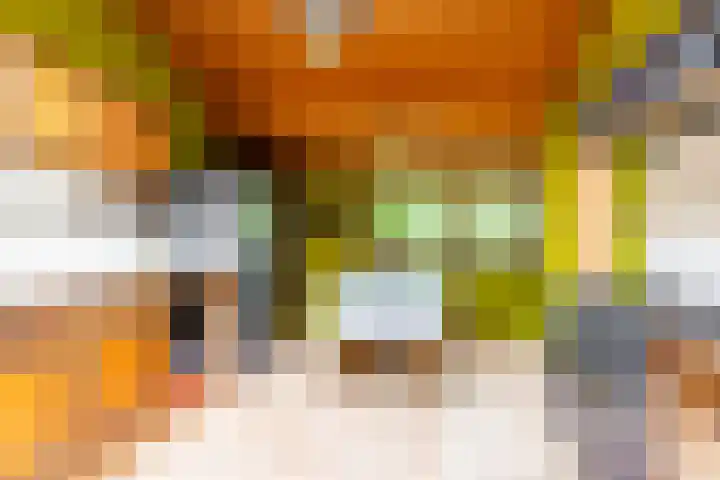 Fazantbos 10 Helvoirt thumbnail 14