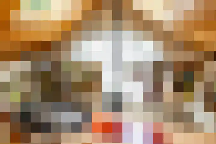 Fazantbos 10 Helvoirt thumbnail 24