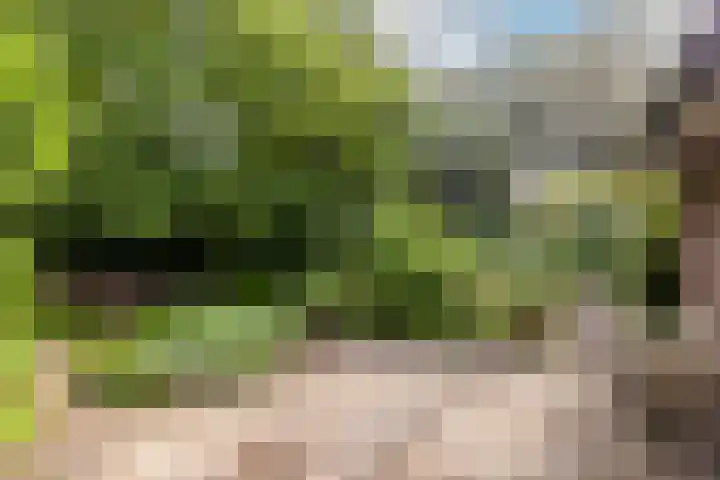 Fazantbos 10 Helvoirt thumbnail 26
