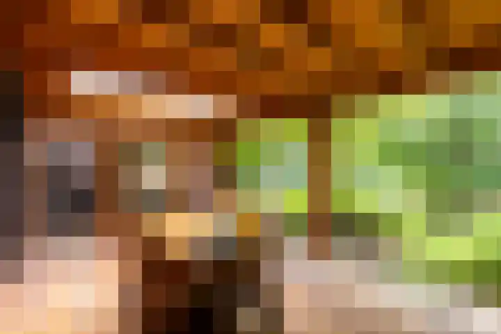 Fazantbos 10 Helvoirt thumbnail 28