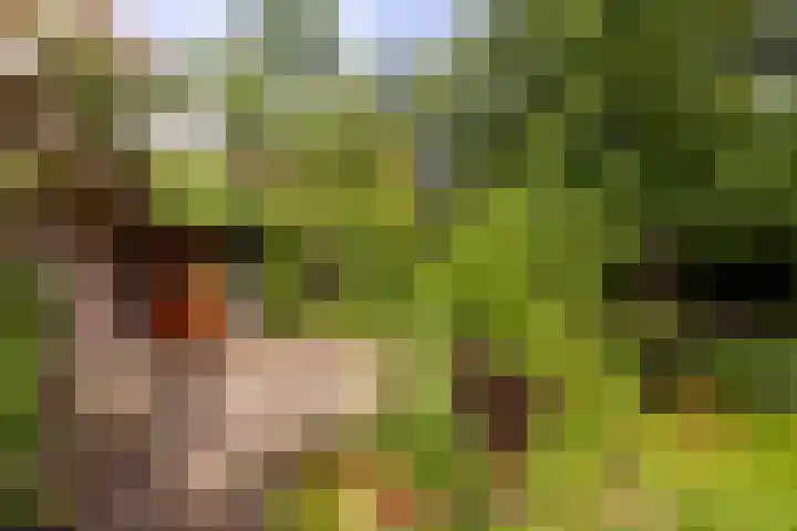 Fazantbos 10 Helvoirt thumbnail 31