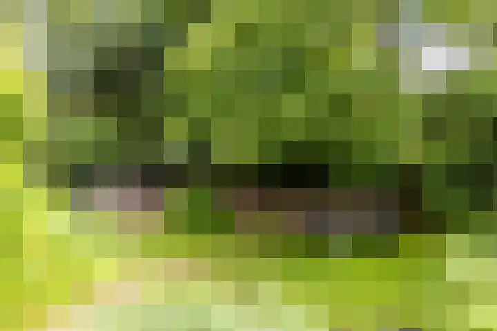 Fazantbos 10 Helvoirt thumbnail 32