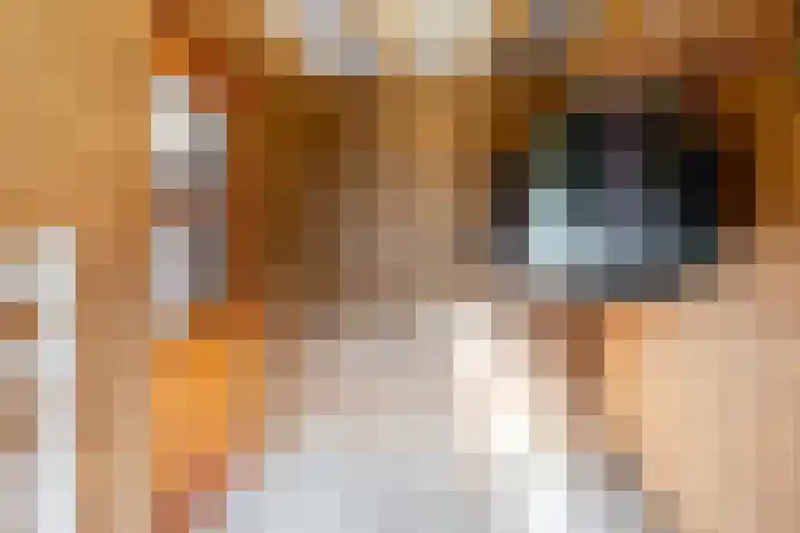 Fazantbos 10 Helvoirt thumbnail 7