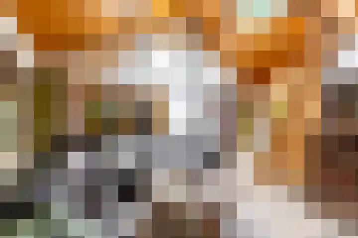Fazantbos 10 Helvoirt thumbnail 8