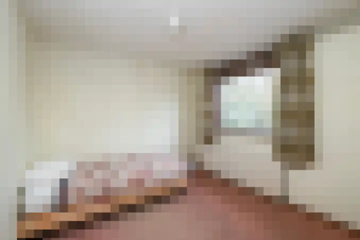 Fazantenbosweg 15 Dalfsen thumbnail 10