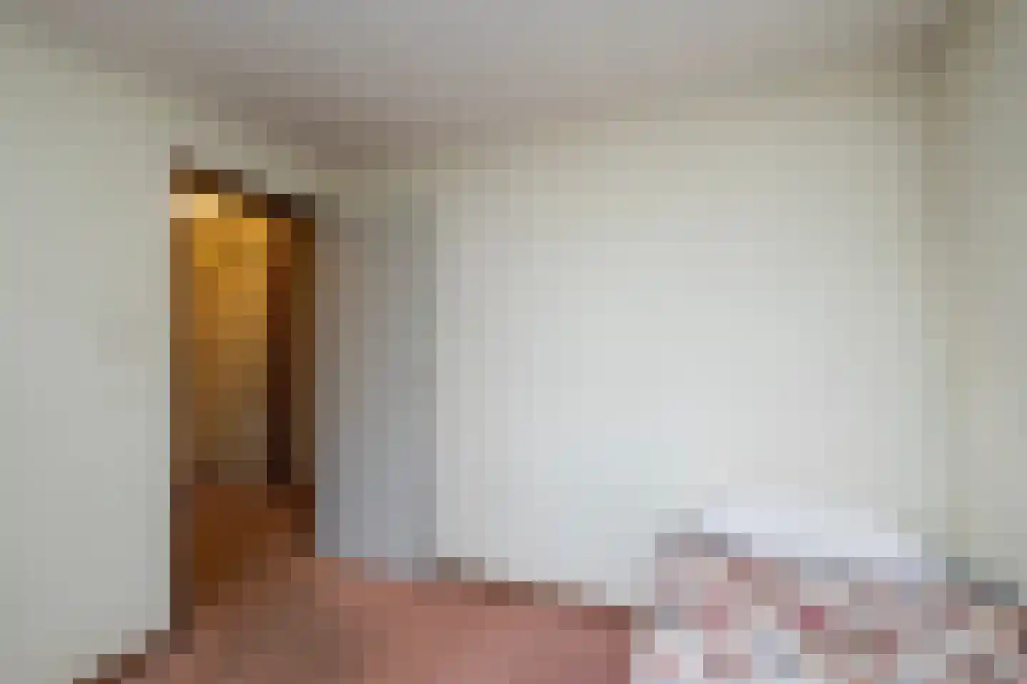 Fazantenbosweg 15 Dalfsen thumbnail 11